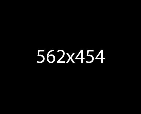 562x454
